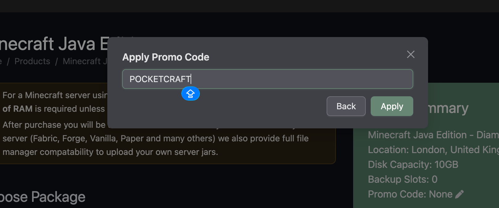 Checkout page with promo code